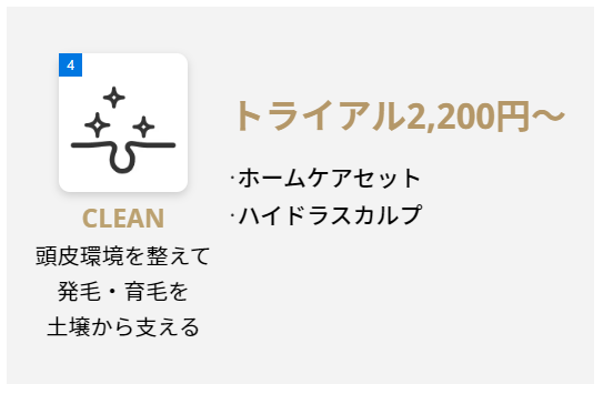 CLEAN治療 -発育毛環境を整える-